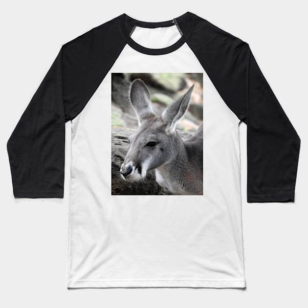 Red Kangaroo Baseball T-Shirt by kirstybush